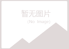 安西县山柏工程有限公司